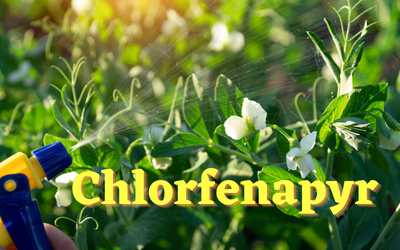 Chlorfenapyr và những điều cần biết