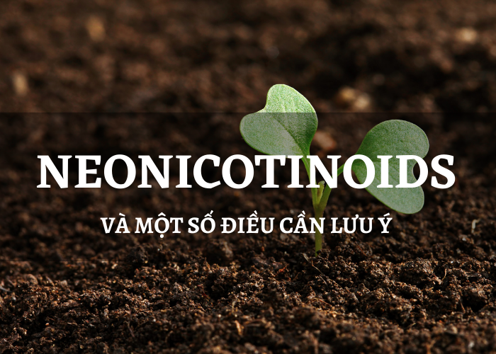 Neonicotinoids và những thắc mắc 