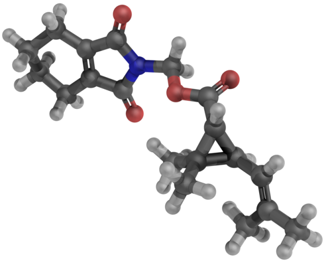 Tetramethrin và những điều cần biết